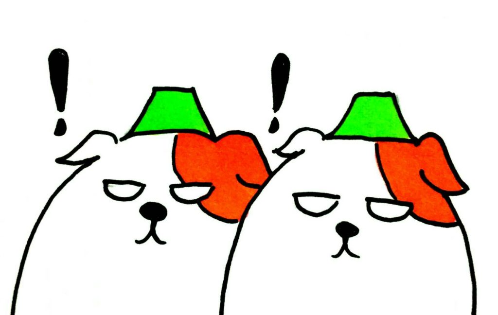 乙な手帳2018年　近日発売